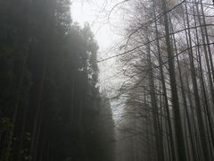 -山王坪喀斯特国家生态公园