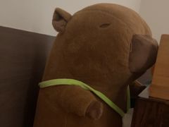 -大赏足道(全运店)