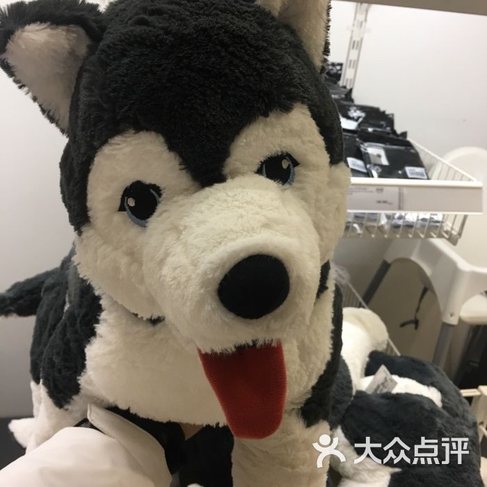 聪明人糊涂蛋           聪明人糊涂蛋           聪明人