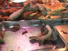 -洪记白水羊头(天坛店)