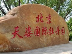 -太阳宫公园