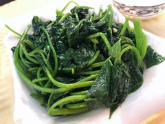 番薯叶-蛇口康乐快餐鱼仔档(翠苑小区店)