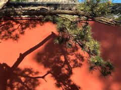 -西安市广仁寺