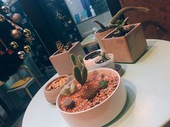 -蜜蜂小象·榴莲千层蛋糕(时代汇11栋店)