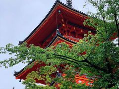 -有栖山 清光院 清水寺