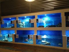 水产区-大理实力希尔顿酒店御璽中餐厅YUXI – CHINESE RESTAURANT