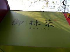 -御抹茶