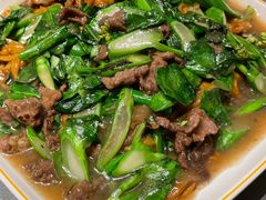 湿炒牛河-潮发潮汕牛肉店(东方宝泰店)