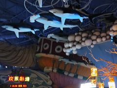 -烟台海昌鲸鲨海洋公园