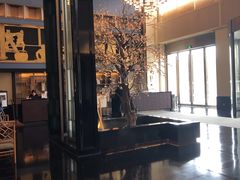 -成都安仁福朋喜来登酒店