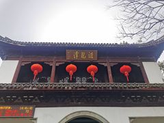 -汇龙潭