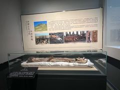 -巴音郭楞蒙古自治州博物馆
