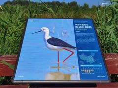 -怀来官厅水库