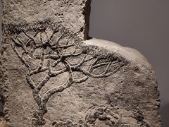 -徐州汉画像石艺术馆