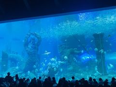-哈尔滨波塞冬海底世界