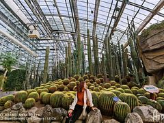 -南山植物园