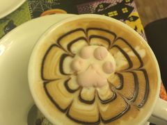 猫色咖啡-猫色咖啡·猫咖
