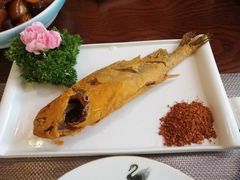 -今日东坡·满庭芳(广汉店)