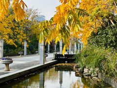 -上海科技馆(地铁站)