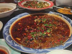 -新概念来凤鱼(璧山店)