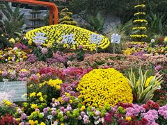 -南山植物园