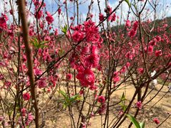 -水濂山森林公园