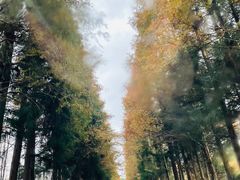 -山王坪喀斯特国家生态公园