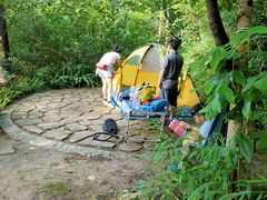 -铁山坪森林公园