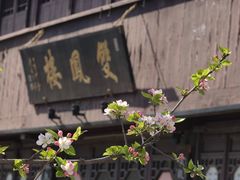 -黎里古镇
