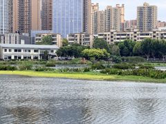 -武汉动物园