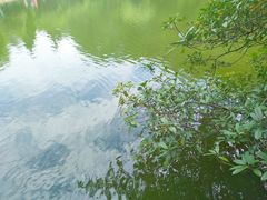 -韶山毛泽东同志故居