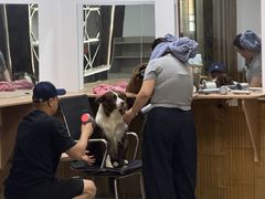 -安吉龙王山峡谷漂流