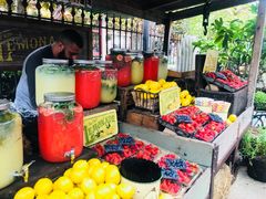 -The Grounds of Alexandria