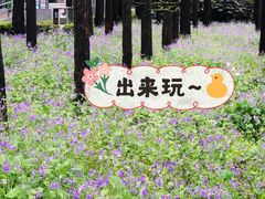 -上海虹桥迎宾馆