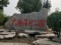-大港湿地公园