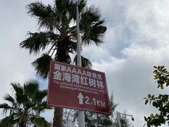 -北海金海湾红树林生态旅游区