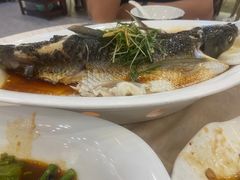 -御膳粥·牛乳粥底火锅·地道顺德菜(容桂店)