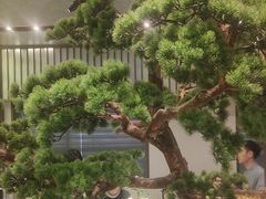 -聆桂烤鸭·金奖烤鸭(静联广场店)