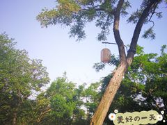 -石老人观光园