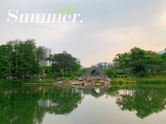 -四海公园(南山区)