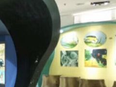 -上海昆虫博物馆