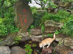 -无锡梅园公园
