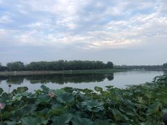 -素心小筑(后沙裕镇店)