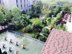 阳台-上海崇明金茂凯悦酒店