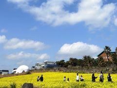 -济州山房山碳酸温泉