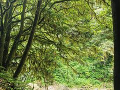 -西岭雪山大飞水景区