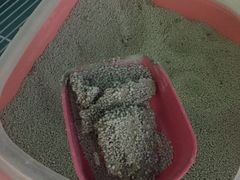-联萌宠物医院(猫病专科)