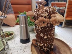 鲜活菌菇棒-椰子营·椰子鸡火锅(万象里店)