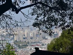 -惠山国家森林公园