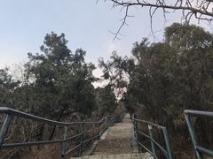 -北京西山国家森林公园